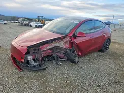 7SAYGDEF2RF024417 2024 TESLA MODEL Y