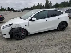 7SAYGDEF2SA362726 2025 TESLA MODEL Y