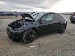 7SAYGDEF3NF563994 2022 TESLA MODEL Y