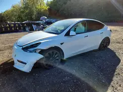 7SAYGDEF3PF773899 2023 TESLA MODEL Y