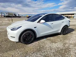 7SAYGDEF3PF784126 2023 TESLA MODEL Y