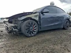 7SAYGDEF3PF903180 2023 TESLA MODEL Y