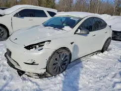 7SAYGDEF4NF318699 2022 TESLA MODEL Y