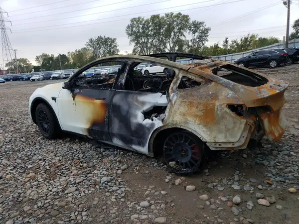 7SAYGDEF4PF709564 2023 TESLA MODEL Y - Image 2