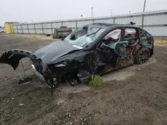 7SAYGDEF4PF826965 2023 TESLA MODEL Y