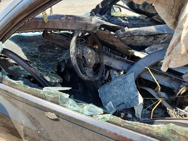 7SAYGDEF5PF830748 2023 TESLA MODEL Y - Image 8