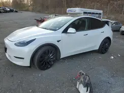 7SAYGDEF6PF590206 2023 TESLA MODEL Y
