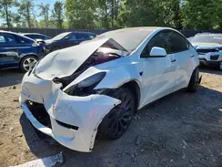 7SAYGDEF6PF790261 2023 TESLA MODEL Y