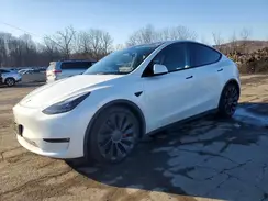7SAYGDEF6PF804028 2023 TESLA MODEL Y