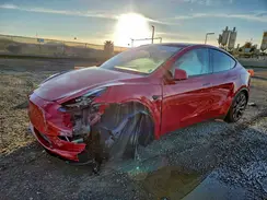 7SAYGDEF6PF978343 2023 TESLA MODEL Y