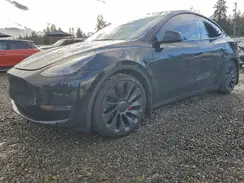 7SAYGDEF6RF061129 2024 TESLA MODEL Y