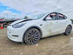 7SAYGDEF7SA352483 2025 TESLA MODEL Y