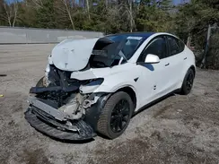 7SAYGDEF9PF682684 2023 TESLA MODEL Y