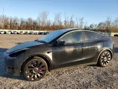 7SAYGDEF9PF769517 2023 TESLA MODEL Y