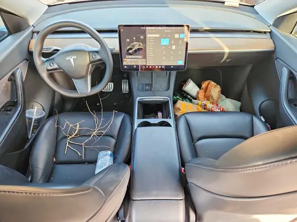 7SAYGDEFXNF326676 2022 TESLA MODEL Y - Image 8