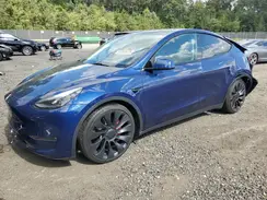 7SAYGDEFXPF669362 2023 TESLA MODEL Y