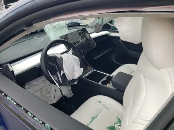 7SAYGDEFXPF700299 2023 TESLA MODEL Y - Image 8