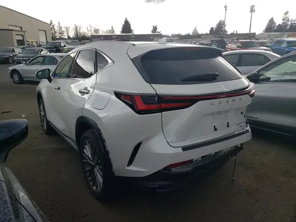 7TJHKCEZ2N2005490 2022 LEXUS NX - Image 2