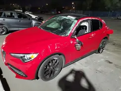 C70250 2019 ALFA ROMEO STELVIO