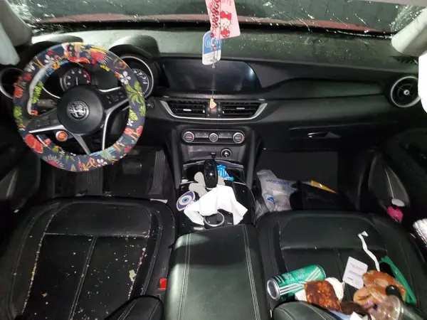 C70250 2019 ALFA ROMEO STELVIO - Image 8