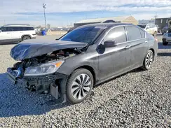 JHMCR6F37HC018382 2017 HONDA ACCORD