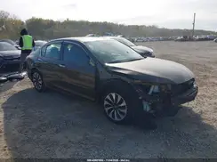 JHMCR6F3XHC006646 2017 HONDA ACCORD