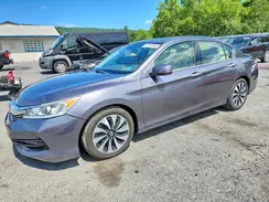 JHMCR6F51HC023286 2017 HONDA ACCORD