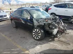 JHMCR6F56HC019184 2017 HONDA ACCORD