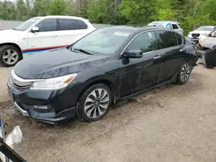JHMCR6F77HC800393 2017 HONDA ACCORD