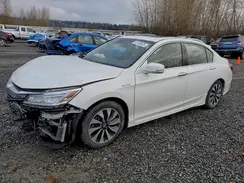JHMCR6F78HC030494 2017 HONDA ACCORD
