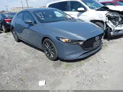 JM1BPALM2K1107038 2019 MAZDA 3