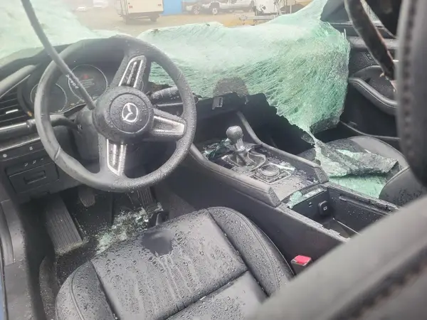 JM1BPALM4L1149230 2020 MAZDA 3 - Image 8