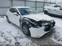 JM1BPALM5K1142463 2019 MAZDA 3