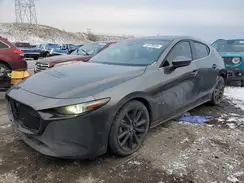 JM1BPANM3K1139980 2019 MAZDA 3