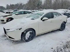 JM1BPBCM5K1125877 2019 MAZDA 3