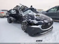 JM1BPBDM7K1119092 2019 MAZDA 3