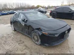 JM1BPBMM1K1134171 2019 MAZDA 3
