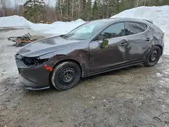 JM1BPBMYXP1617555 2023 MAZDA 3