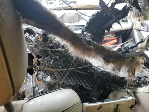 JM1GL1X57H1136466 2017 MAZDA 6 - Image 8