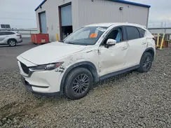 JM3KFABM6K0675682 2019 MAZDA CX-5