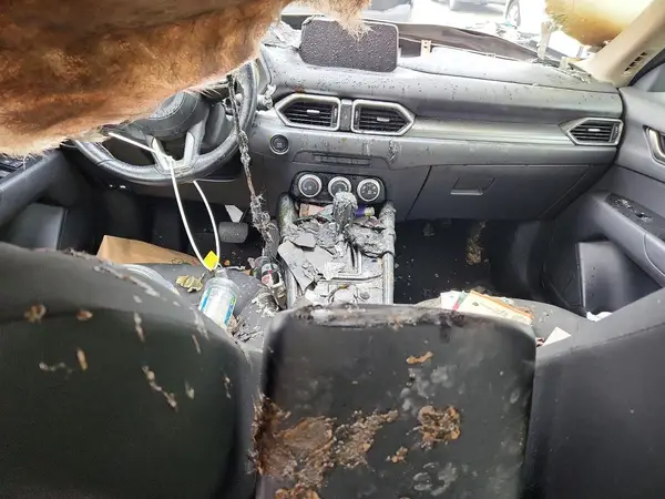 JM3KFABM8K0548173 2019 MAZDA CX-5 - Image 8