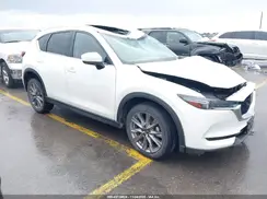 JM3KFADM2K1654268 2019 MAZDA CX-5