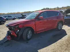 JM3KFBBL0R0463352 2024 MAZDA CX-5