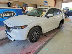 JM3KFBBL0R0509259 2024 MAZDA CX-5