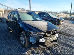 JM3KFBBL4R0440592 2024 MAZDA CX-5