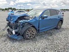 JM3KFBBM2R0362824 2024 MAZDA CX-5