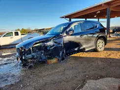 JM3KFBBM7R0384978 2024 MAZDA CX-5