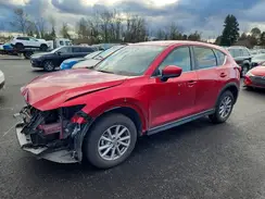 JM3KFBBM9P0219043 2023 MAZDA CX-5