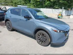 JM3KFBCL2R0489689 2024 MAZDA CX-5