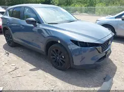 JM3KFBCL2R0503834 2024 MAZDA CX-5